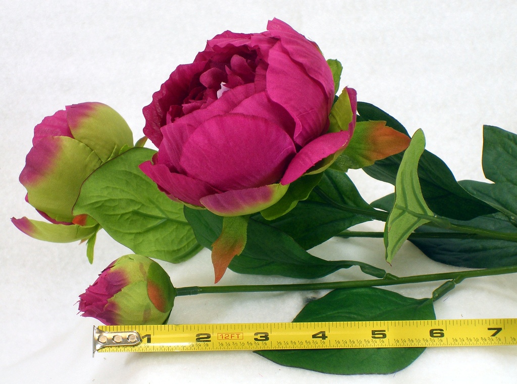 PEONY SPRAY X2 BLMS X1 BUD  FUCHSIA