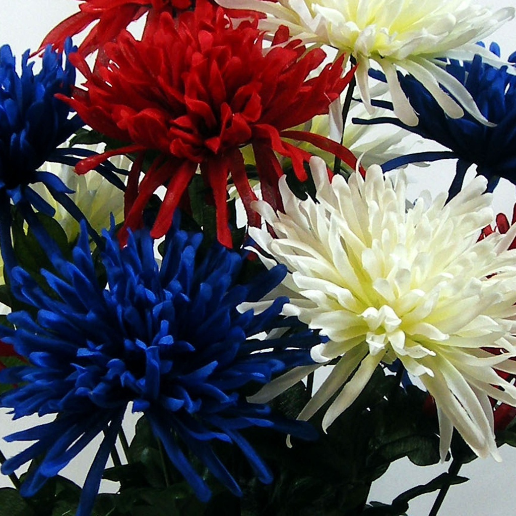 MUM BUSH X12 RED/WHITE/BLUE