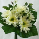 GERBERA BUNDLE X7  CREAM