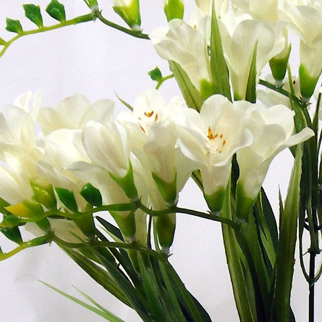 FREESIA BUSH X9 19" CREAM/WHITE