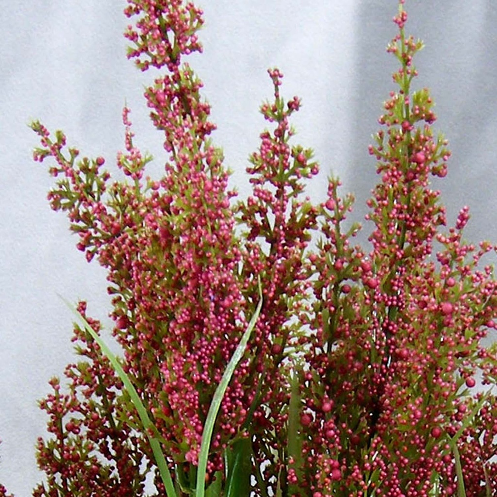 HEATHER GRASS BUSH X9 21.5&quot;  BEAUTY