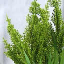 HEATHER GRASS BUSH X9 21.5"  GREEN