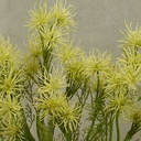 THISTLE SPRAYx2 21.5"(3/BUNDLE)