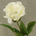 ROSE OPEN SPRAYx1 (3/BUNDLE)16"  CREAM