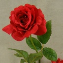 ROSE OPEN SPRAYx1 (3/BUNDLE)16"  RED