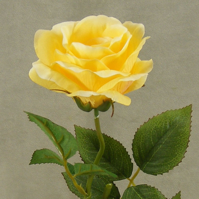 ROSE OPEN SPRAYx1 (3/BUNDLE)16"  YELLOW