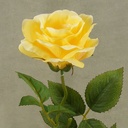 ROSE OPEN SPRAYx1 (3/BUNDLE)16"  YELLOW