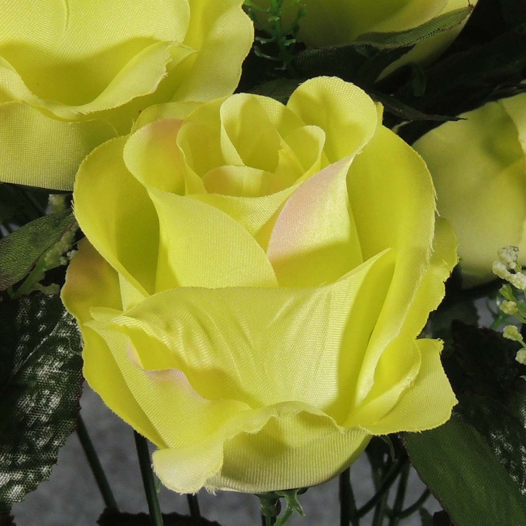 ROSE OPEN SATIN BUSH X12  GREEN