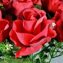 ROSE OPEN SATIN BUSH X12  RED