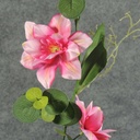 GARLAND 66&quot; CLEMATIS/EUCALYPTUS  BEAUTY
