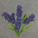 HYACINTH BUSH X7 20.5"  DARK PURPLE