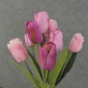 TULIP BUSH 18" X9 SATIN  BEAUTY/PINK