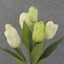 TULIP BUSH 18" X9 SATIN  CREAM/GREEN