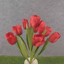 TULIP BUSH 18" X9 SATIN  RED