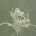 BIRD 3&quot; W/FEATHERS &amp; PIC WHITE 16&quot; O.A.L