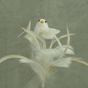 BIRD 3" W/FEATHERS & PIC WHITE 16" O.A.L