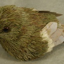 BIRD 5&quot; SISAL 2 STYLES (R&amp;L)