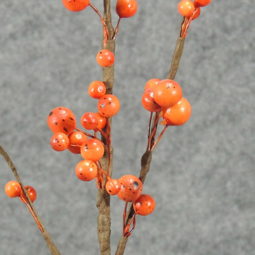 BERRY STEM/TWIG 44"  ORANGE