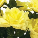 ROSE BUSH OPEN X 14 SFT YELLOW