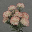 CARNATION BUSH X 14 PEPPERMINT