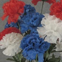 CARNATION BUSH X 14 RED/WH/BLUE