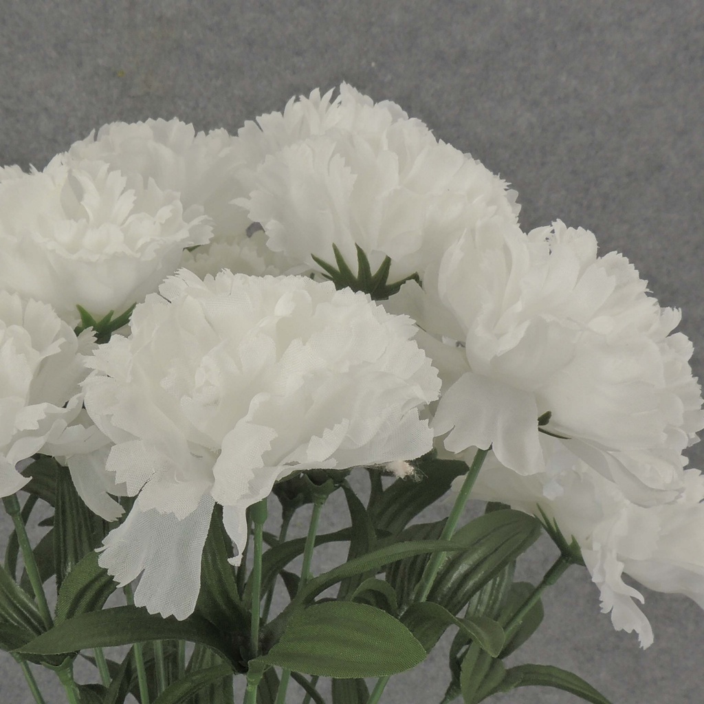 CARNATION BUSH X 14    WHITE