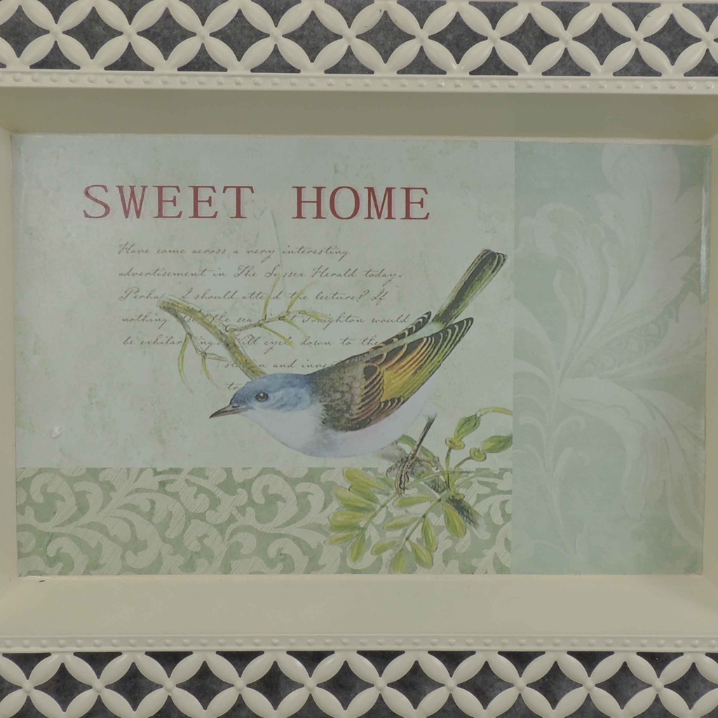 METAL TRAY W/BIRD PRINT 15x11"