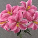 18" TIGER LILY BUSH X9  RUBRUM