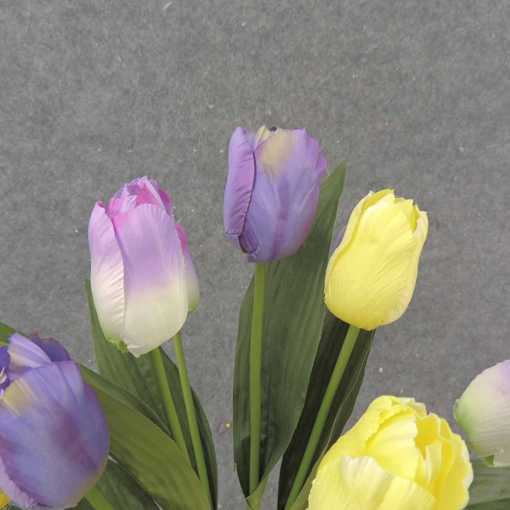 19" TULIP BUSH X9 LAVENDER/YELLOW