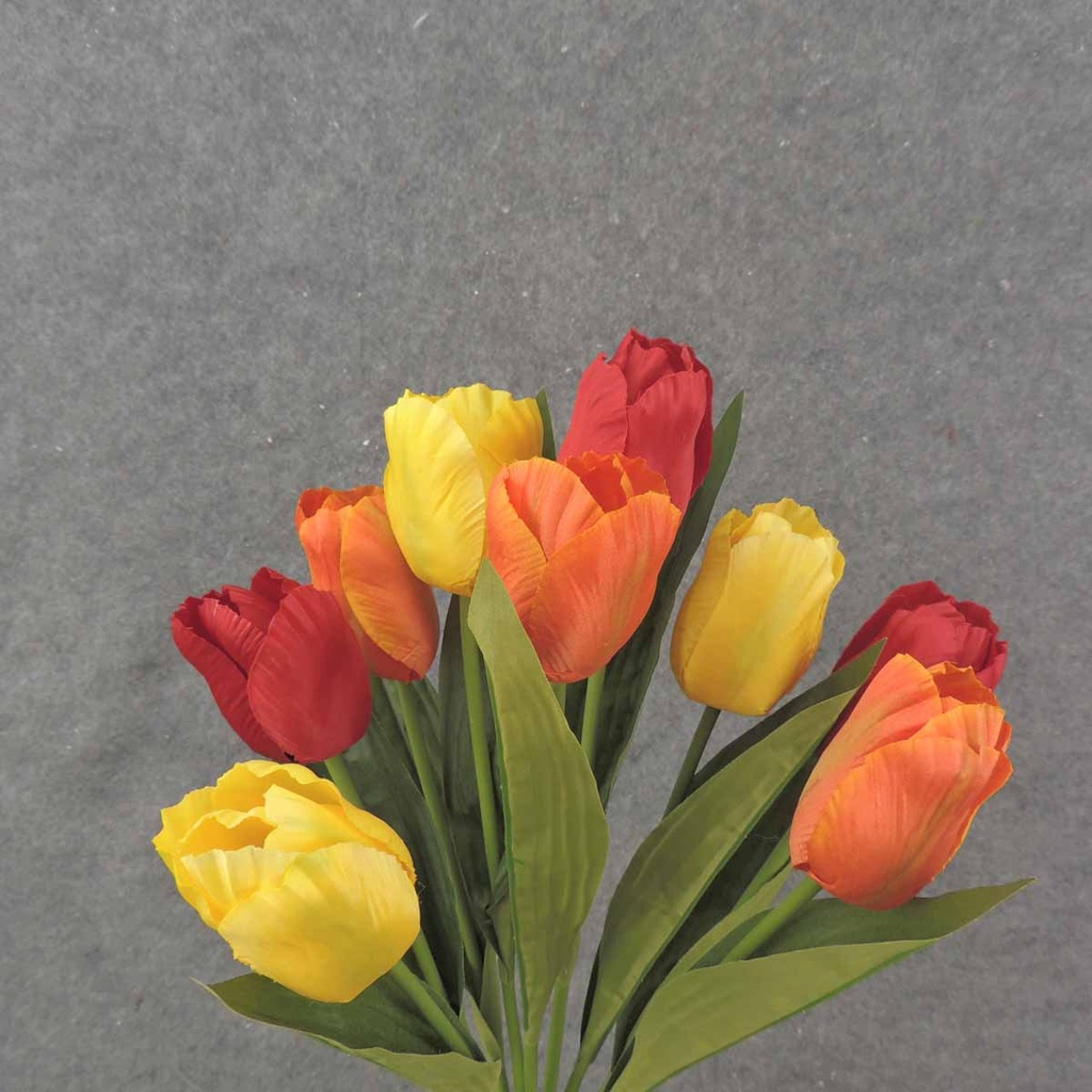 19" TULIP BUSH X9 ORANGE/RED/YELLOW