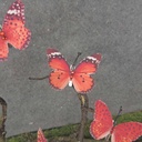 2.25" 6-ASSORTED BUTTERFLIES W/GEMS RED MIX