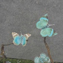 2.25" 6-ASSORTED BUTTERFLIES W/GEMS  BLUE/GREEN MIX