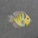 TROPICAL FISH 4.5"x3" ON 10" PICK 6-ASST