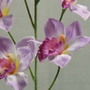 37" CYMBIDIUM ORCHID X6  (2/BUNDLE)  LAVENDER