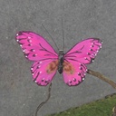 4" FEATHER BUTTERFLY 3-ASST PINK MIX