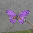 4" FEATHER BUTTERFLY 3-ASST PINK/PURPLE/LAVENDER MIX