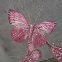 4.25" 6-ASSORTED BUTTERFLIES W/GLITTER  BEAUTY/PINK