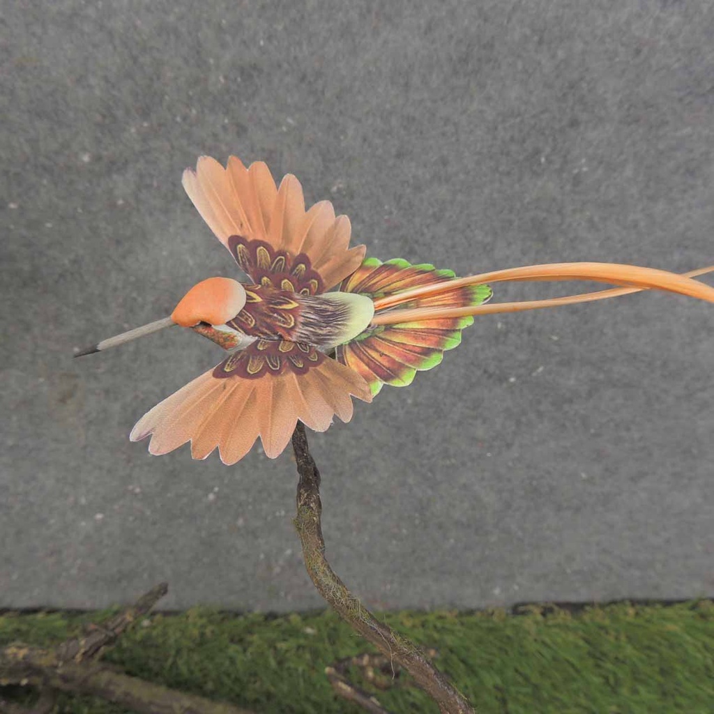 HUMMINGBIRD 6.75" (4"x3.25" BODY) 6-ASST W/FEATHER TAIL