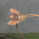 HUMMINGBIRD 6.75" (4"x3.25" BODY) 6-ASST W/FEATHER TAIL