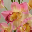 37" CYMBIDIUM ORCHID X6  (2/BUNDLE)  PINK