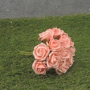 MINI ROSE BUNDLE X12  PEACH