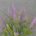 HEATHER/GRASS BUSH X10 21&quot;  LAVENDER