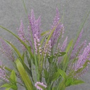 HEATHER/GRASS BUSH X10 21"  LAVENDER