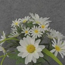 MIXED DAISY BUSH X10 18.5" CREAM/WHITE