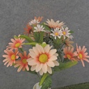 MIXED DAISY BUSH X10 18.5" PINK/PEACH