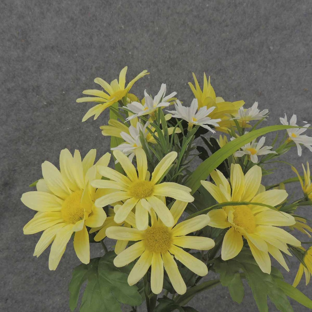 MIXED DAISY BUSH X10 18.5" YELLOW/WHITE