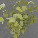 LEAF BUSH 25" X5 LIGHT GREEN (FOAM)