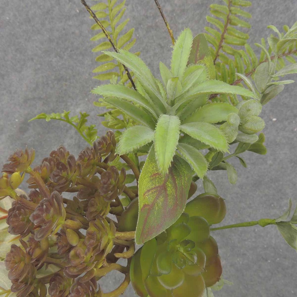 MIXED SUCCULENT & FERN SPRAY 18"