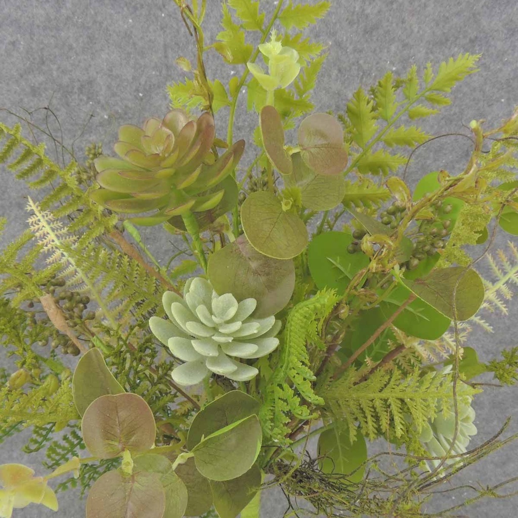 FERN/SUCCULENT/FOLIAGE BUSH 20"