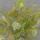 FERN/SUCCULENT/FOLIAGE BUSH 20"